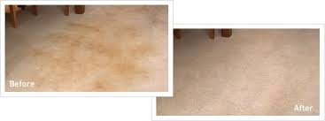 Which commercial machines are cheap enough and otherwise suitable for heavy duty use in the home? Carpet Cleaner Rental At Lowe S