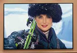 My brother visits family in fort lauderdale three or four times a year. Where To Buy Draper Shadowbox Clarion Projector Screens