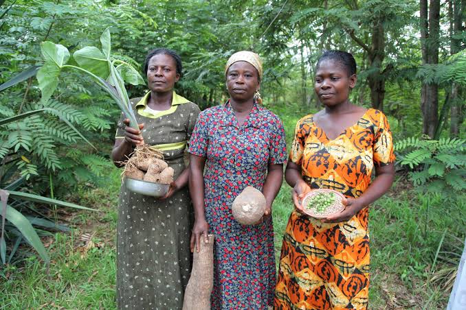 Free Training is Empowering Women in Ghana - BORGEN
