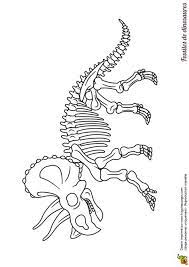 coloriage de fossiles dinosaures squelette triceraptor hugolescargot com fossile dinosaure  remorque voyage