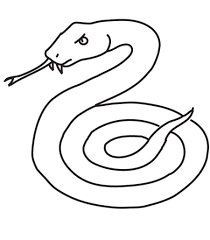 Discover our archives of coloring pages and you'll find something useful. Printable Snake Coloring Pages Coloringme Com