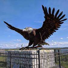 Check spelling or type a new query. Montezuma National Wildlife Refuge Day Trips Around Rochester Ny