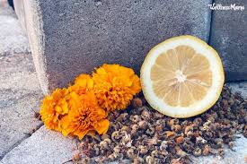 A homemade hair dye recipe may be all you need to give your hair and yourself a lift. Natural Hair Dye Recipes For Any Hair Color Wellness Mama