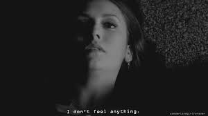 Though damon and elena had their first encounter during the pilot episode, the devilishly charming vampire thought he could woo his brother stefan's damon and elena learn to tolerate one another over the course of the first season, even forming a friendship of sorts. Cronicas Vampiricas Diarios De Vampiros Tvd Gif Find On Gifer