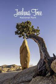 Joshua Tree National Park Is A Beautiful In Southern California So Photogenic Plan A Trip Soon Joshua Tree National Park Joshua Tree National Parks