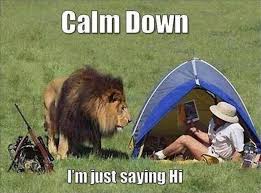 Image result for funny pics of animals