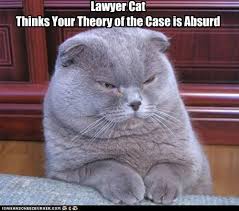 At max reddit played a small part, but depp has a lawyer bruh. 8 Lawyer Cat Ideas Crazy Cats Legal Humor Cats