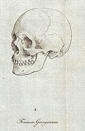 Check spelling or type a new query. Caucasian Race Wikipedia