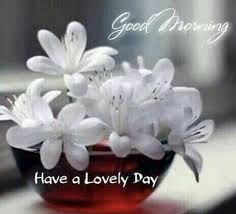 Pin By Eveline Hinz On Good Morning Quotes Good Morning Flowers Morning Flowers Good Morning Greetings