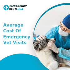Does your insurance cover urgent care visits? Average Cost Of Emergency Vet Visits In A City Near You