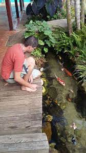 ไอเด ย แปลงโฉมข างบ าน ให กลายเป น บ อเล ยงปลาคล ๆ ในพ นท แคบและล ก ihome108 backyard water feature small backyard design pond design