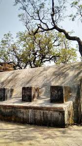 Shivadi fort : मुंबई शहराचा सुंदर ...