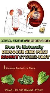 How To Get Rid Of Kidney Stones Kidney Stones Remedy Kidney Cleanse Natural Kidney Cleanse