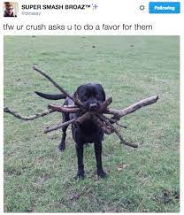 Perhaps it should be a thing to either cover the windows with curtains or don't have a window at all in your bathroom. Pin On Jackie And Claire S Buzzfeed Fix