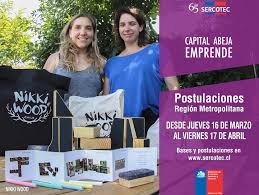 Disponible desde el 1 de abril. Capital Semilla Emprende Sercotec Bonos Subsidios Becas Fondos En Areas De Vivienda Mujer Adulto Mayor Pyme Y Mas
