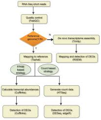 In This Comparative Study Researchers From The University Of Queensland Evaluate The Performance Of Three Of The Mo Study The University Of Queensland Analysis