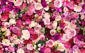 Find aesthetic flower wallpapers hd for desktop computer. 1001 Ideas For Super Cool Wallpapers For Girls