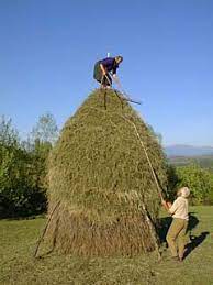 Making A Haystack