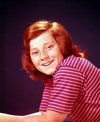 Partridge Family' Star Danny Bonaduce Announces Retirement From Newer Job