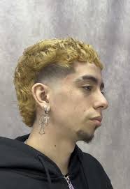 Lil Edgar's Modern Mullet Haircut Action