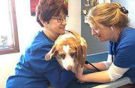 You can look at the address on the map. Peninsula Veterinary Hospital Sturgeon Bay Wi