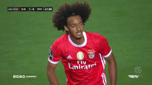 Estádio do sport lisboa e benfica (da luz). Sorry Sl Benfica Gif By Sport Lisboa E Benfica Find Share On Giphy