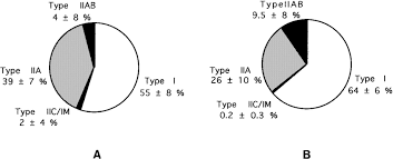 Pie Charts Showing The Frequencies Mean And Standard