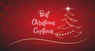 We did not find results for: 200 Christmas Captions For Instagram Facebook Whatsapp Ultra Wishes