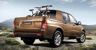 Image result for Autumn Brown 1993 SsangYong