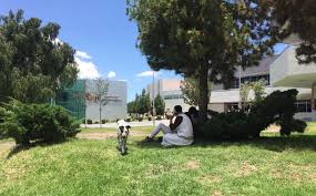 La uaeh tiene una excelente reputación de fortaleza institucional por su estabilidad. Organizan Segunda Campana De Esterilizacion Canina En Icsa