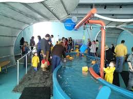 Children S Museum Of Pittsburgh Pittsburgh Reviews Of Children S Museum Of Pittsburgh Tripadvisor Childrens Museum Family Vacation Trip Advisor