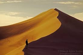 It first came to attention that it should be a protected area in 1969, finally becoming the athabasca sand dunes provincial wilderness park on august 24, 1992. Exploring Saskatchewan S Athabasca Sand Dunes Photo Journeys