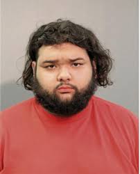 ᐅ Illinois Criminal Records 2009-2025