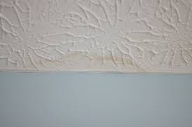 How To Touch Up Textured Ceiling Paint Reinvented Textured Ceiling Paint Ceiling Texture Painted Ceiling