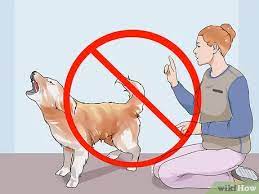 If the dog's barking is. 3 Ways To Stop A New Dog From Barking At Your Neighbors Wikihow