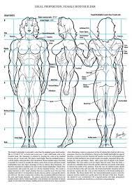 But, above all, these muscles are of great physiological importance. Drawing Anatomy Dump Part 4 Live Free Or Dump Hard Anatomy Drawing Male Figure Drawing How To Draw Muscles