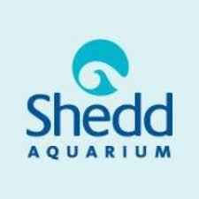 Image result for john shedd aquarium