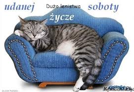 Obrazek dodany przez użytkowniczkę