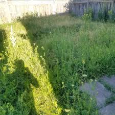 Get rid of thatch and make way for a beautiful lawn with this quick guide to aeration. Pro Aerators Posts Facebook