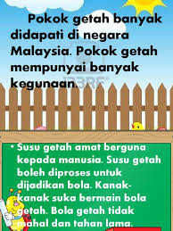 Check spelling or type a new query. Pokok Getah