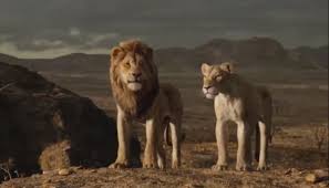 Disney S The Lion King Dominates The Box Office Pushes Global Haul To 531 Million View production, box office, & company info. disney s the lion king dominates the