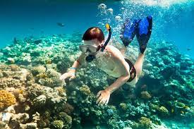 Taman laut ialah kawasan perairan laut yang dilindungi, biasanya untuk melindungi dan memulihara pelbagai habitat dan hidupan marin akuatik. Taman Laut Pulau Payar Surga Menyelam Di Malaysia