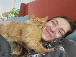 🧡Oz wants to see your orange babies 🧡