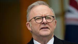 'Follow the leader': Albanese would 'bow down' with Palestinian state recognition | The Australian