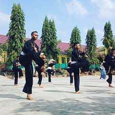 Dalam psht ada materi teknik yang sudah di bakukan melalui musyawarah besar persaudaraan setia hati terate. Info Psht Jurus Tunggal Baku Ipsi Facebook