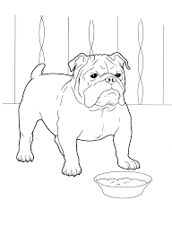 < caine planse de colorat si educative puppy coloring pages dog. Desene De Colorat Caine Dog Coloring Page Dog Coloring Book Animal Coloring Pages