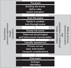 Triage Process Concept Map Download Scientific Diagram