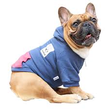 Free worldwide shipping for all orders. Ichoue Pets Dog Clothes Hoodie Hooded English Bulldog Boston Terrier Pullover Sweatshirt Cotton Winter Warm Coat Clothing Navy Size Xl Amazon Com Au Pet Supplies