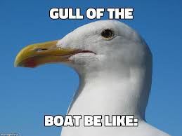 Like bigbird andiicannotlie you other brothers canitdeny todays meme was brought to you by the letter b. Have Stop From Gamestop Memes Dankmemes