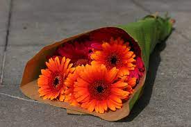 We did not find results for: How Long Can Flowers Stay Fresh Without Water Flower Press